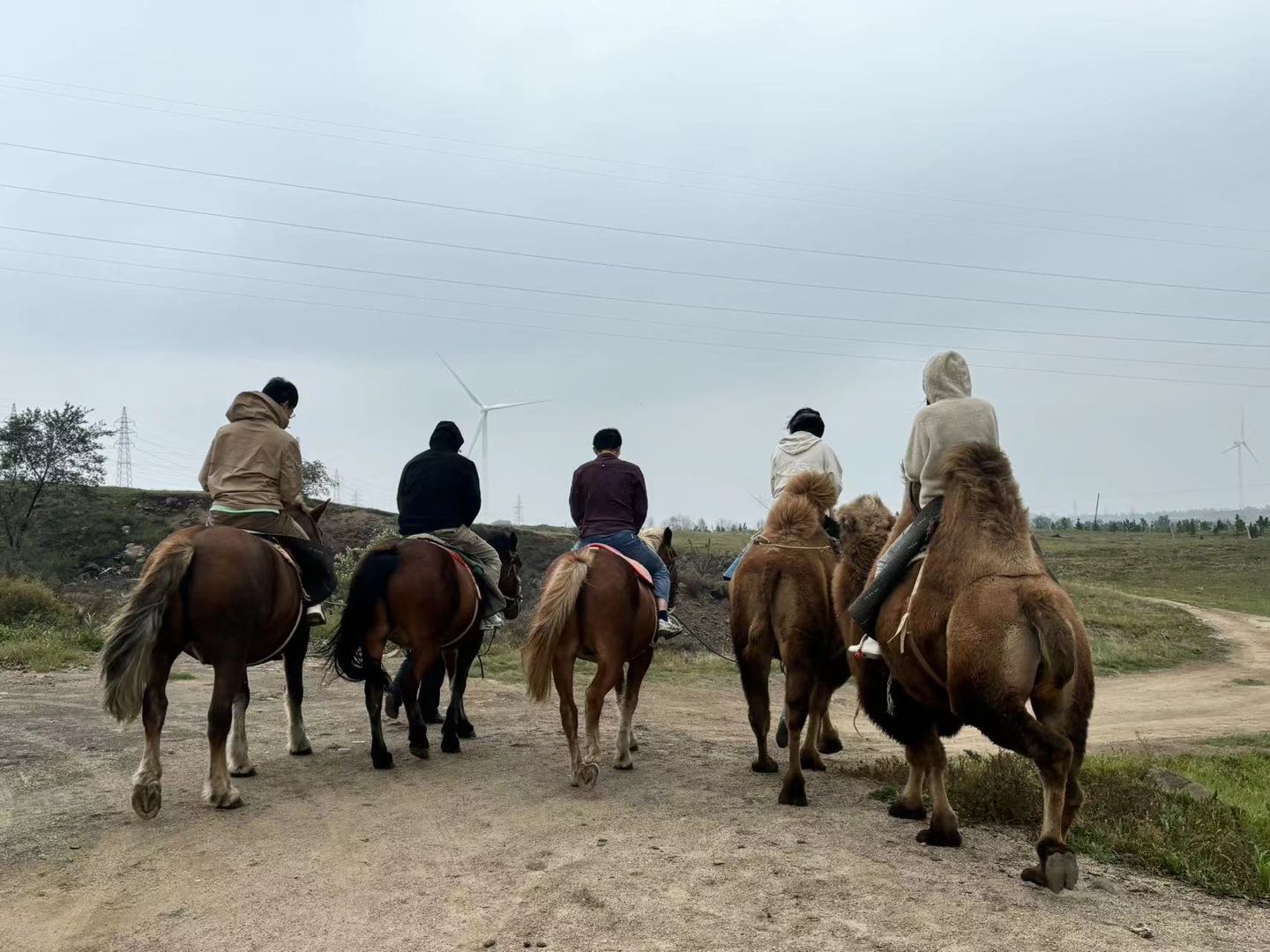 2024-Autumn outing-Zhangbei Grassland