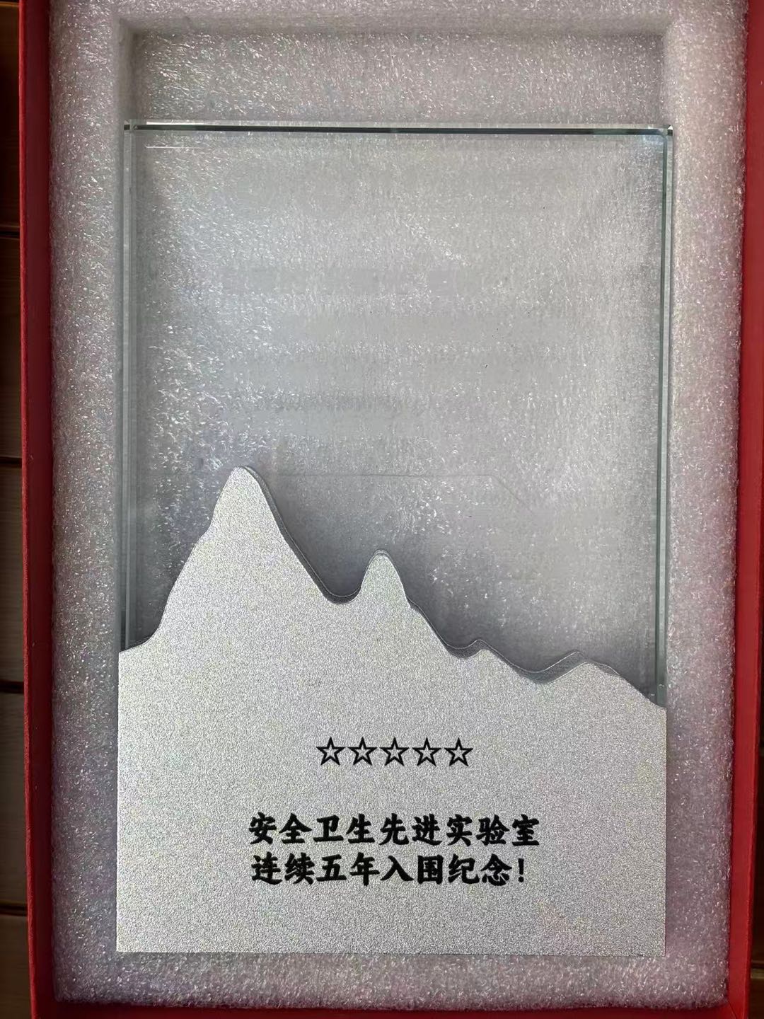 Our lab at Room 119A, Renhuan Building has received a silver medal for Safety & Hygiene Excellence